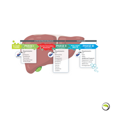 Load image into Gallery viewer, PURE RESET 14-DAY KIT