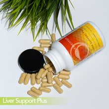 Load image into Gallery viewer, PURE RESET 14-DAY KIT