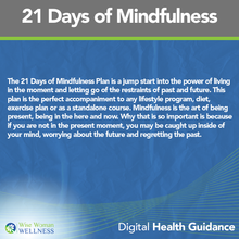 Load image into Gallery viewer, Digital Health Guidance ( WELLNESS PLANS )