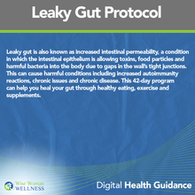 Load image into Gallery viewer, Digital Health Guidance ( WELLNESS PLANS )