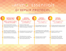 Load image into Gallery viewer, GI REPAIR PROTOCOL KIT