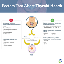 Load image into Gallery viewer, THYROMAX
